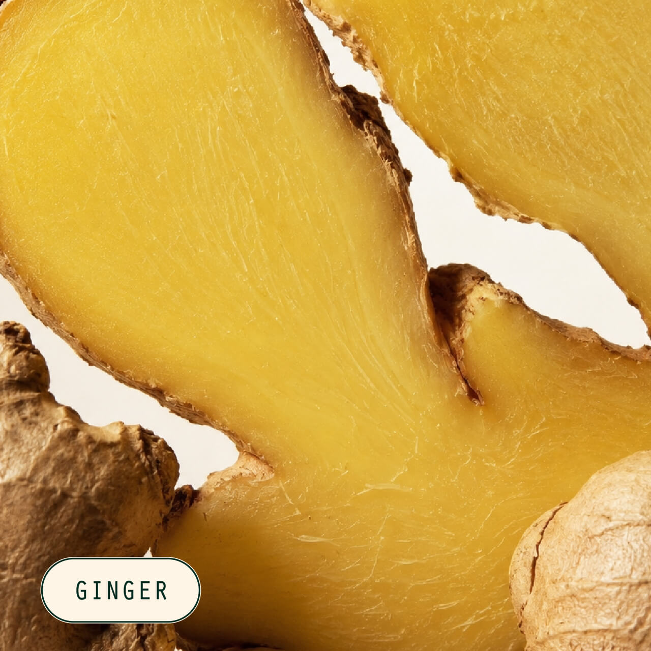 fiora-ginger